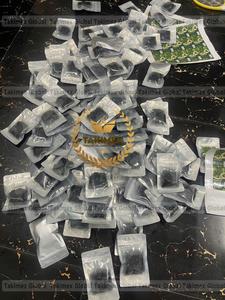 Algues de mer/algues de mer salées/algues vertes (caviar vert) les plus vendues à prix compétitif - Product Image 4