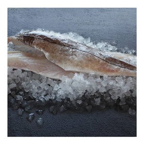 Filetes de Haddock Congelados – Filetes de Pescado Congelados de Calidad para Venta al por Mayor - Product Image 1