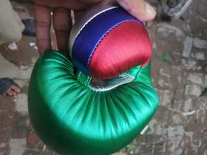 Guantes de Boxeo Profesionales OEM 2026, de Cuero Sintético, con Cierre de Cordones, Correa de Muñeca Ajustable, 16 oz, Impermeables, Color Perla Metálico - Product Image 2