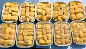 Jacquier congelé sans pépins de qualité supérieure du Vietnam prêt pour vos recettes - Product Image 2