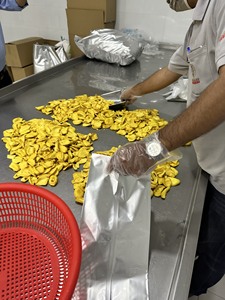 Jackfruit lyophilisé, collation saine du Vietnam, conservé au goût sucré, collation saine, jackfruit séché en tranches, 100% naturel - Product Image 3