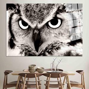 Elegante Arte de Pared de Vidrio con Diseño de Búho - Lienzo Impreso para Decoración Rústica, ARTE EN VIDRIO TEMPLADO - Product Image 1