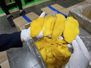 Golden Sweet <b>Dried</b> <b>Mango</b> Fruit Bulk Packaging Vietnam - Product Image 2