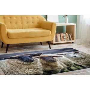 Tapis scandinaves en fausse fourrure de mouton, tapis de ferme, tapis animalier, tapis moelleux à poils longs - Product Image 3
