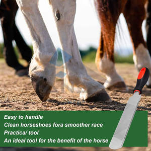14 Inch Hoof <b>Rasp</b> Farrier <b>File</b> Tool, Heavy Duty Carbon Steel Trimming Tool Comfortable Handle Professional Hoof <b>Rasp</b> Horse - Product Image 2