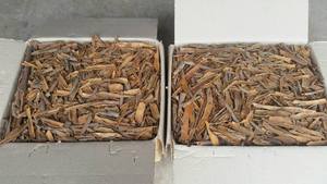 แท่งอบเชยทั้งต้นใช้สมุนไพรแห้งเครื่องเทศจากเวียดนามใช้สำหรับอบดิบสินค้าใหม่ - Product Image 3