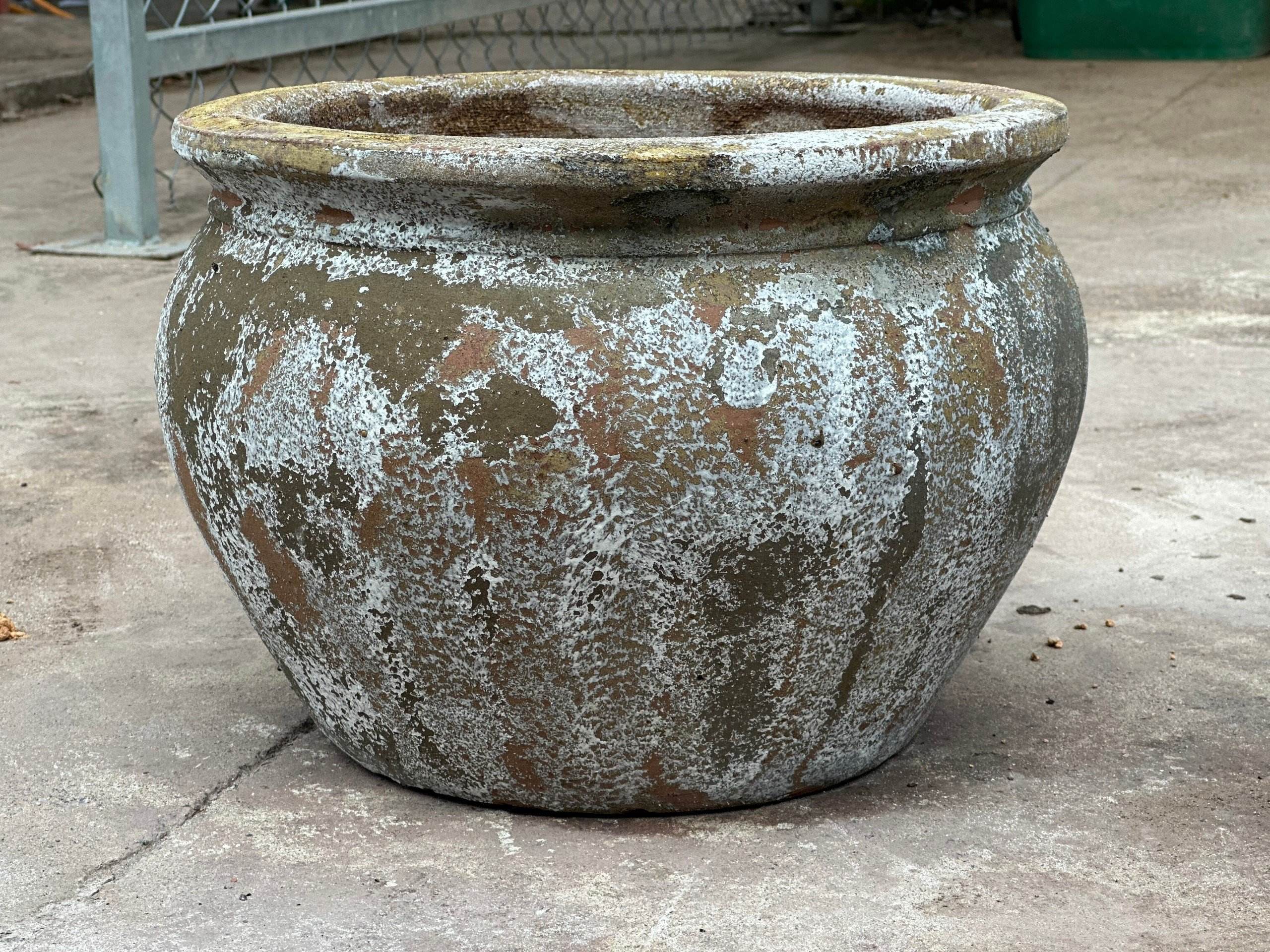 Antique Color as picture