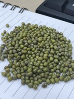Hele Groene Mung Bonen Van Viet Nam Exporteur Met De Goede Prijs En Premium Kwaliteit