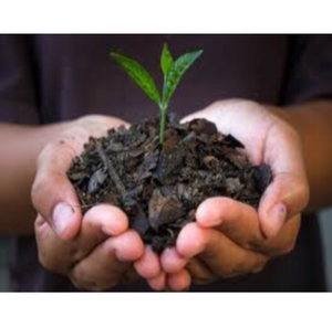 Briquettes écologiques de biomasse naturelle avec 4500J Calory pour une combustion propre efficace dans les applications de chauffage domestique et commercial - Product Image 3