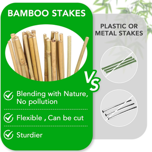 Bâtonnets de bambou les plus vendus 2025 pour plantes / Bâtonnets de bambou de grande taille de haute qualité et à bon prix de Eco2go Vietnam - Product Image 6