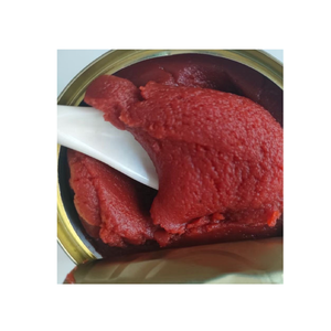 Sauce concentrée <span class=keywords><strong>de</strong></span> tomates en conserve 28-30% Brix, aromatisée, en conserve, tomates, piment, poulet, olives, bouteille, sachet - Product Image 1