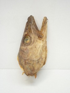 ปลาตุ๋นแห้งคุณภาพสูง ปลาตุ๋นแห้งราคาส่ง - Product Image 4