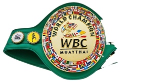 Custom Wbc Kampioenschap Riemen Groothandel Pro Am Kampioenschap Lederen Riemen Logo Hier Zwaargewicht <span class=keywords><strong>Usa</strong></span> Kampioen Riemen - Product Image 2