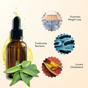 Aceite Esencial de Hoja de Curry 100% Puro, Destilado al Vapor, Antiarrugas, Antiojeras, Blanqueador, Nutritivo e Hidratante Corporal - Product Image 2