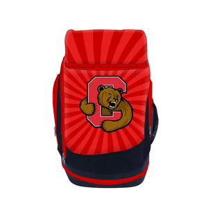 Sac à dos d'équipe de sublimation de luxe, lettres durables, impression personnalisée, sport, voyage, promotion commerciale, vente en gros, 20-35L, SSTB-0035 - Product Image 2