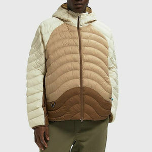 Chaqueta Acolchada de Invierno para Hombre, Estilo Vintage, Manga Larga, con Capucha, Resistente al Viento, Tejida, Servicio OEM, Casual, Alta Calidad, Venta al Por Mayor - Product Image 3