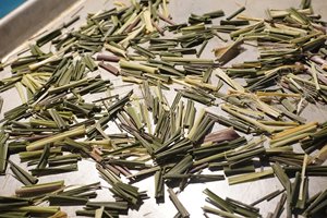 ใบชาเขียวแห้งใบตะไคร้ดิบ - Product Image 5