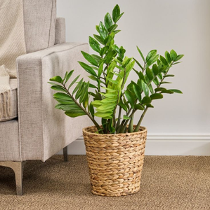 Plantador tejido interior/cesta tejida Wyn - Product Image 6