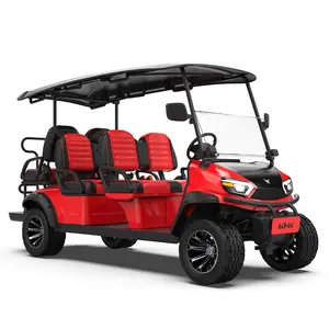 Marchio elettrico Golf Car Smart due posti elettrico Golf Cart veicolo utilitario Golf Cart servosterzo elettrico