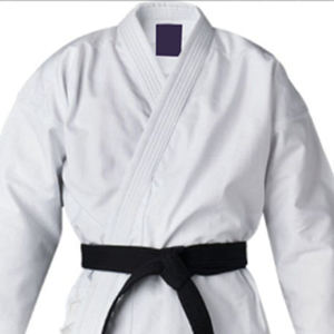 2025 Top vente de haute qualité léger MMA Arts martiaux porter BJJ Gi costumes dans différents modèles pour hommes - Product Image 5