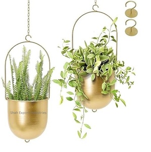 Attrayant métal plaqué or tenture murale jardinière forme ovale pour la maison entrée chemin décor suspendu fleur planteur avec chaîne - Product Image 4