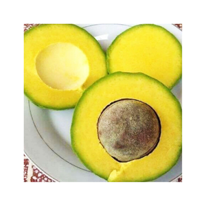 อะโวคาโดสีเขียวสดจากฟาร์มบรรจุในกล่องสำหรับการส่งออกใช้ในสลัดสมูทตี้ร้านอาหารการแปรรูปอาหารจำนวนมาก - Product Image 6