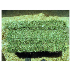 Heno de alfalfa de alta calidad para alimentación animal Alfalfa/heno de alfalfa a la venta a precio mayorista listo para suministrar Top Qua barato - Product Image 1