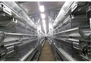 Lampe pour volailles étanche IP67 à intensité variable pour poulets, porcs, animaux en croissance, avec lumière LED à <span class=keywords><strong>CRI</strong></span> élevé 97, 3000-6000K, garantie de 3 ans - Product Image 4