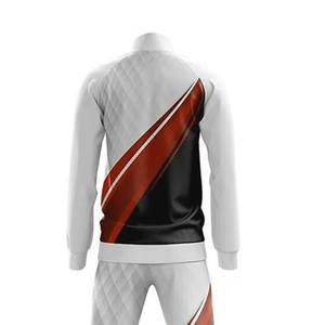 Ropa deportiva para exteriores de alta calidad, chándal para hombre con logotipo personalizado, conjuntos de chándal personalizados ajustados para hombre - Product Image 6