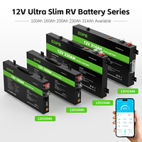 Batterie au lithium LiFePO4 ultra-mince 12V OEM d'usine pour camping-car, 12,8V 100Ah 160Ah 200Ah 230Ah 314Ah pour le camping en désert et les voyages tout-terrain