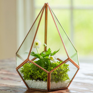 Top Selling New Arrival Brass Frame Clear <b>Glass</b> Hanging <b>Terrarium</b> <b>Glass</b> Vase Tabletop Decoration Custom Size Garden Decorative - Product Image 6