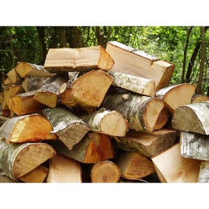 Bois de charpente haute résistance séché au four pour poutres, treillis et projets de charpente - Product Image 5