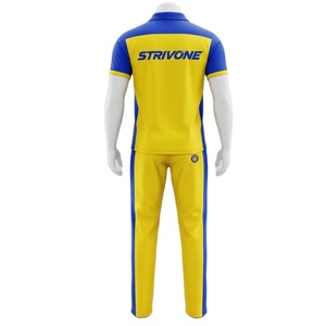 Ensemble d'uniformes de cricket de haute qualité, respirant, léger, 100% polyester, grande taille, avec logo imprimé personnalisé par transfert thermique, maillot et pantalon - Product Image 4