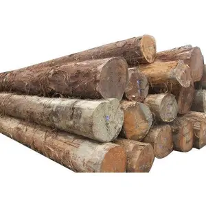 Acacia Oak Logs for Stave Wood, 35+ cm