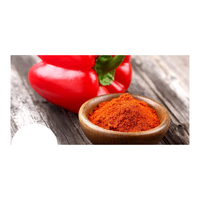 Grosir Bubuk Cabai Merah Kualitas Tinggi Bubuk Paprika Cabai Merah Murni Panas Pedas Lezat untuk Dijual Dalam Stok