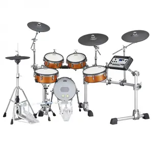 Topkwaliteit DTX10K-X Elektronische Yama Drumkit Met Hout-Shell Tcs Pads En DTX-PROX Drum