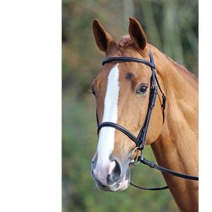 Bride Western Horse de luxe en cuir véritable avec tête et rênes colorées en PVC directement du fabricant en Inde - Product Image 1