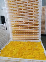 Biologische Gedroogde Mango Geen Suiker Toegevoegd, 3Oz | Natuurlijke Ongezoete Gedroogde Mango (Geen Suiker)