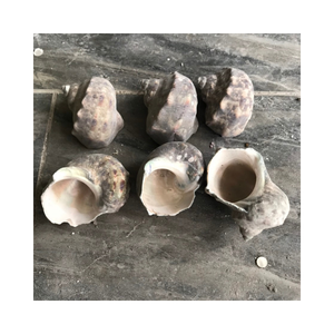 ผลงานชิ้นเอกของงานฝีมือธรรมชาติทรงกรวยหอยทากเปลือกหอยและงานศิลป์แฮนด์เมดที่ยั่งยืนเหมาะสำหรับบ้านริมชายหาด - Product Image 5