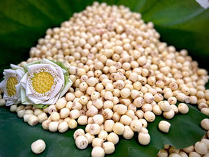 เมล็ดบัวอบแห้งที่สดใหม่และมีรสชาติ/ประเพณีของครอบครัว/ทางเลือกที่เหมาะสม/ผลิตในเวียดนาม - Product Image 4
