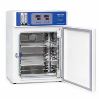Inkubator Co2 termostatik laboratorium efisiensi tinggi inkubator Filter karbon dioksida budaya sel sel