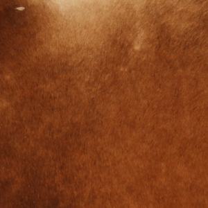 Tapis décoratif en cuir de vachette naturel de qualité supérieure - Product Image 5