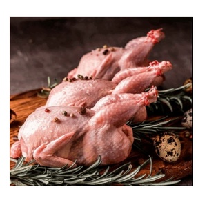 เนื้อไก่ฟ้าคุณภาพสูง ฟาร์มเลี้ยง สดใหม่ แช่แข็ง จำหน่ายจำนวนมาก เหมาะสำหรับโรงแรม ร้านอาหาร และการส่งออกอาหาร - Product Image 4