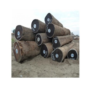 Troncos de Madera de Roble de Alta Calidad en Existencia, Precio Económico, Compre Ahora, Entrega Rápida - Product Image 3