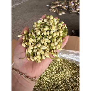 Capullos de jazmín empaquetados y secos cuidadosamente para mezclar en té diseñado para bebidas o juegos de regalo para cafés - Product Image 5