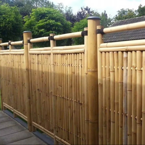 <b>Bamboo</b> Fence Architecture, Outdoor Natural Landscape Made of <b>Bamboo</b>, <b>Bamboo</b> Used for Decorative Furniture From Vietnam - Product Image 4