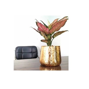 Metal planter stand with Removeable Bucket style pot gold color set of 2 available in wholesale price from top listed exporter - Product Image 3