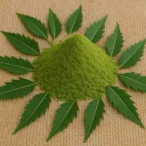 Polvo de Neem para Mascotas, Repelente Natural de Pulgas y Garrapatas para Perros y Gatos, Polvo Orgánico Calmante para la Piel, Remedio Herbal para el Cuidado de Mascotas - Product Image 3