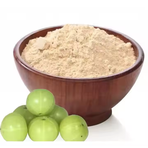 Poudre d'amla de groseille à maquereau Extrait d'amla séché et cru de qualité ayurvédique sans OGM et riche en nutriments - Product Image 1