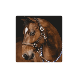 Utdoor-Ports, accesorio multifuncional, ligero e inteligente - Product Image 1